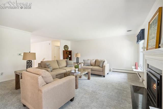 MLS Image for 202  Pine  ,Colorado Springs, Colorado