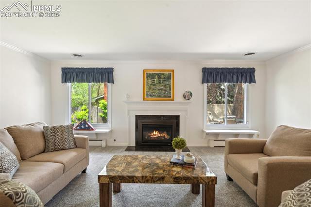 MLS Image for 202  Pine  ,Colorado Springs, Colorado