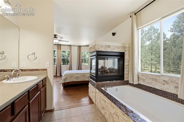 MLS Image for 10916  Silver Mountain  ,Colorado Springs, Colorado