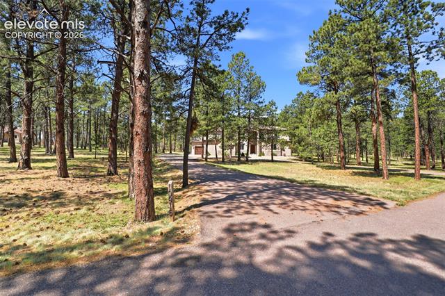 MLS Image for 10916  Silver Mountain  ,Colorado Springs, Colorado