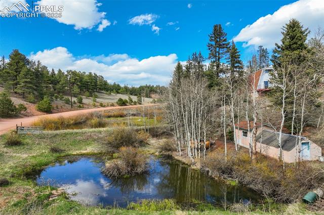MLS Image for 1074  Pathfinder  ,Florissant, Colorado