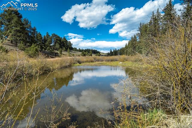 MLS Image for 1074  Pathfinder  ,Florissant, Colorado