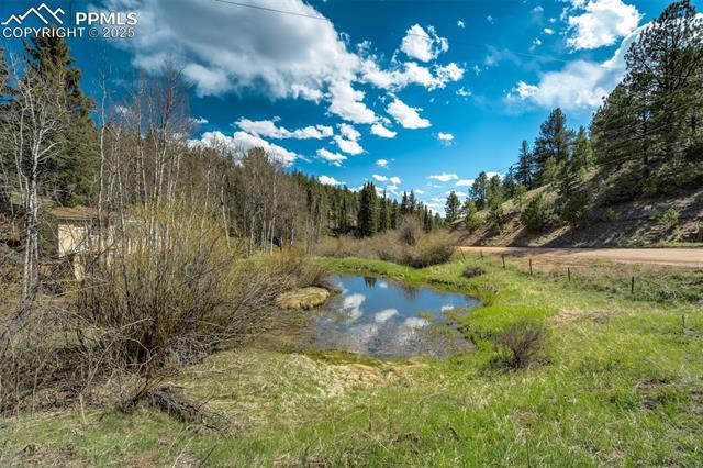 MLS Image for 1074  Pathfinder  ,Florissant, Colorado