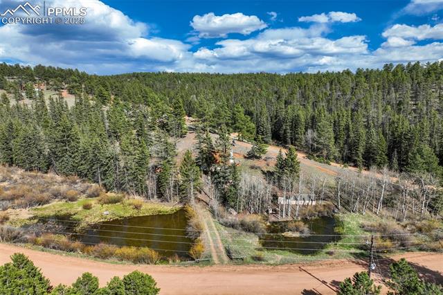 MLS Image for 1074  Pathfinder  ,Florissant, Colorado