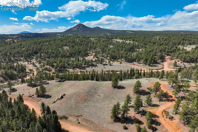 MLS Image for 1074  Pathfinder  ,Florissant, Colorado