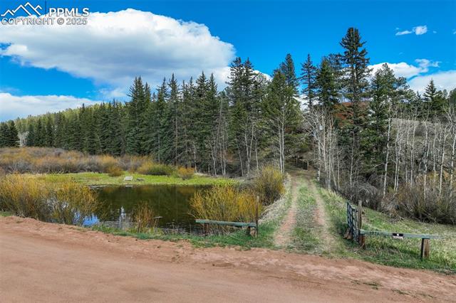 MLS Image for 1074  Pathfinder  ,Florissant, Colorado