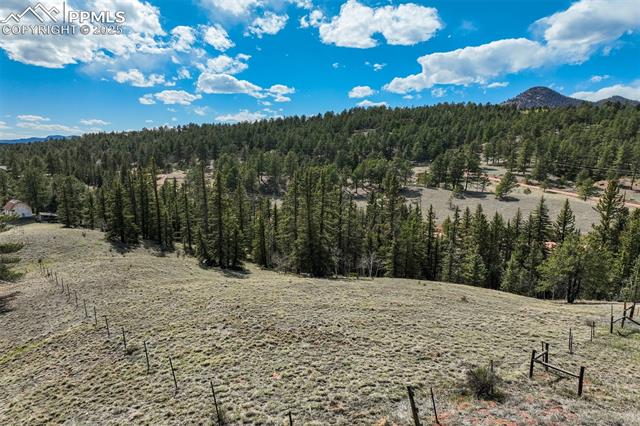 MLS Image for 1074  Pathfinder  ,Florissant, Colorado
