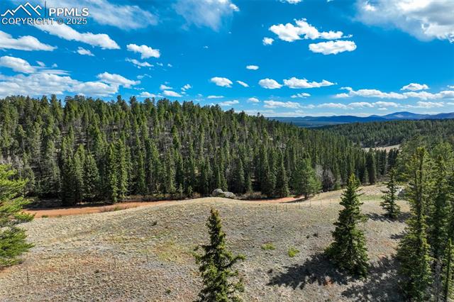 MLS Image for 1074  Pathfinder  ,Florissant, Colorado