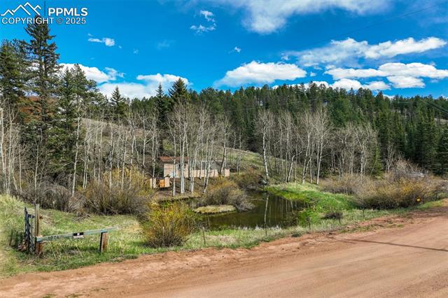 MLS Image for 1074  Pathfinder  ,Florissant, Colorado