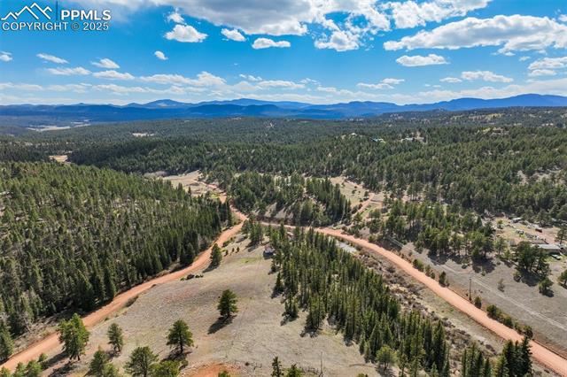 MLS Image for 1074  Pathfinder  ,Florissant, Colorado