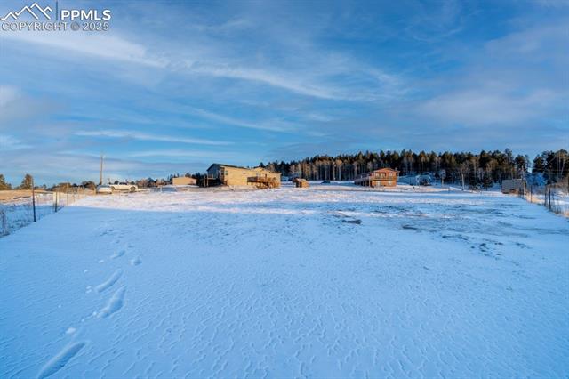 MLS Image for 94  Sir Richard  ,Divide, Colorado