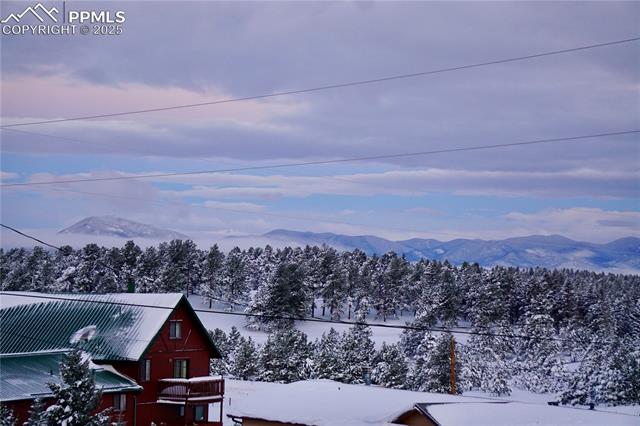 MLS Image for 94  Sir Richard  ,Divide, Colorado