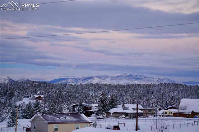 MLS Image for 94  Sir Richard  ,Divide, Colorado