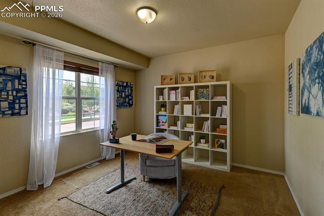 MLS Image for 254 S Raven Mine  ,Colorado Springs, Colorado