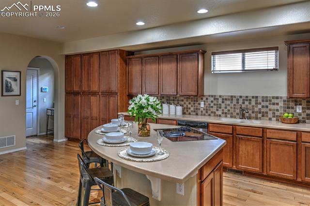 MLS Image for 254 S Raven Mine  ,Colorado Springs, Colorado
