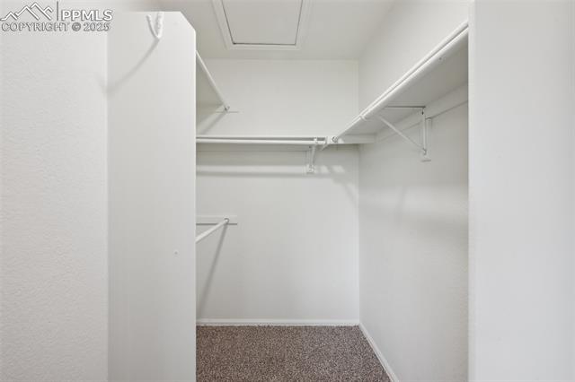 MLS Image for 4530  Star Ridge  ,Colorado Springs, Colorado