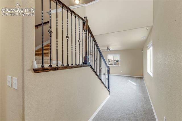 MLS Image for 11763  Sedge  ,Peyton, Colorado