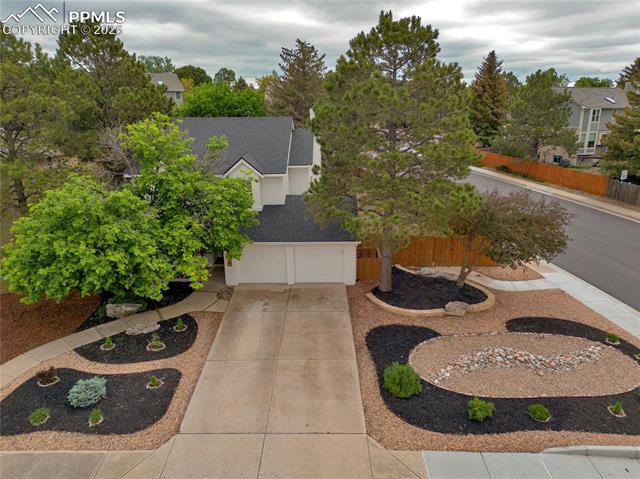 8115  Avens  , colorado springs  House Search MLS Picture