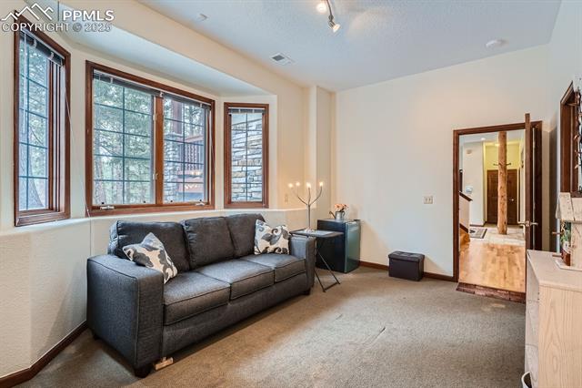 MLS Image for 1662  Gore  ,Larkspur, Colorado