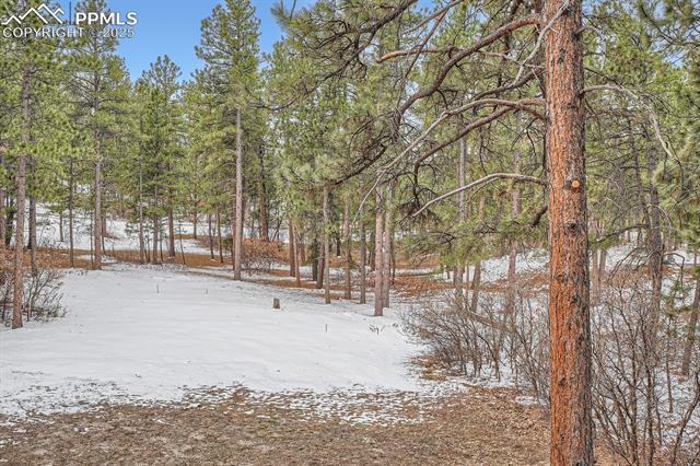 MLS Image for 1662  Gore  ,Larkspur, Colorado