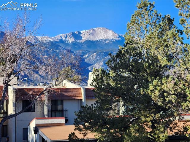 MLS Image for 1038  Fontmore  D ,Colorado Springs, Colorado