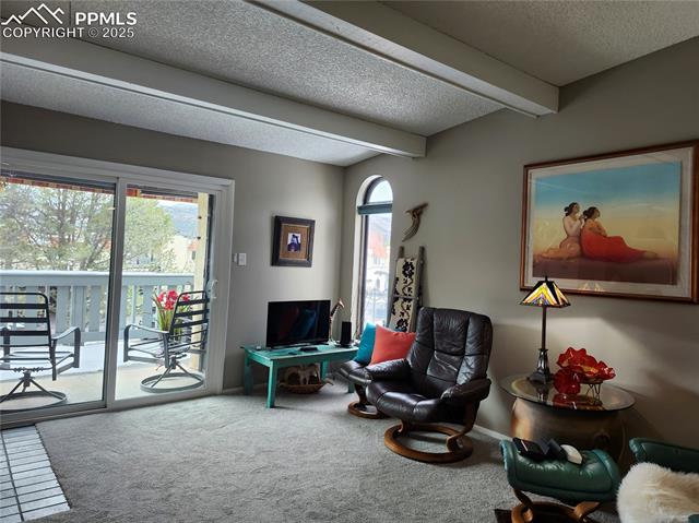 MLS Image for 1038  Fontmore  D ,Colorado Springs, Colorado
