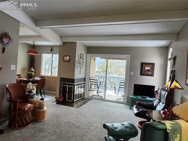 MLS Image for 1038  Fontmore  D ,Colorado Springs, Colorado