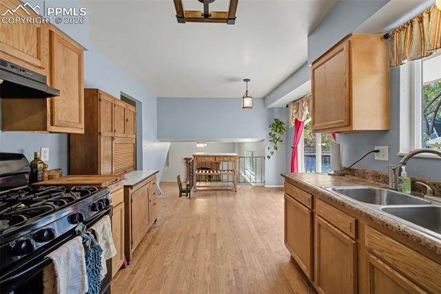 MLS Image for 3696  Haven  ,Colorado Springs, Colorado