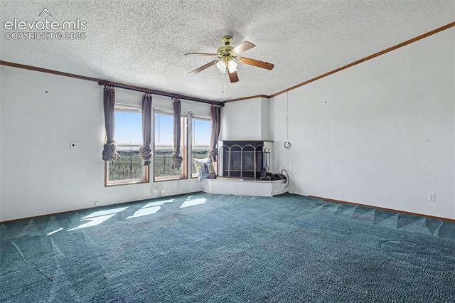 MLS Image for 11770  Tracy  ,Peyton, Colorado