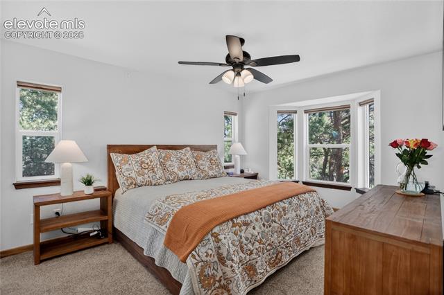 MLS Image for 341  Rainbow  ,Divide, Colorado