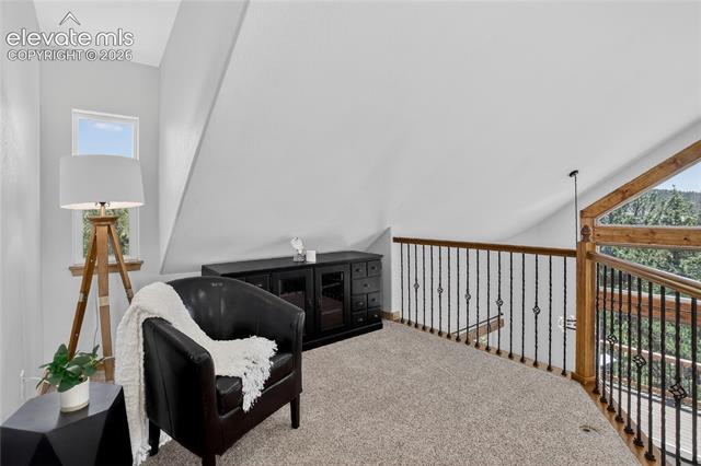 MLS Image for 341  Rainbow  ,Divide, Colorado