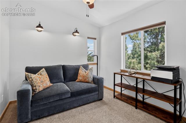 MLS Image for 341  Rainbow  ,Divide, Colorado