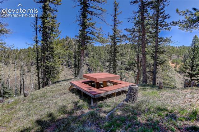 MLS Image for 341  Rainbow  ,Divide, Colorado