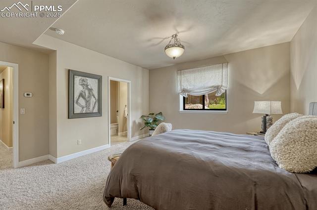 MLS Image for 1250  Cottontail  ,Woodland Park, Colorado