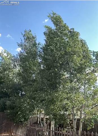 MLS Image for 3978  Pronghorn Meadows  ,Colorado Springs, Colorado