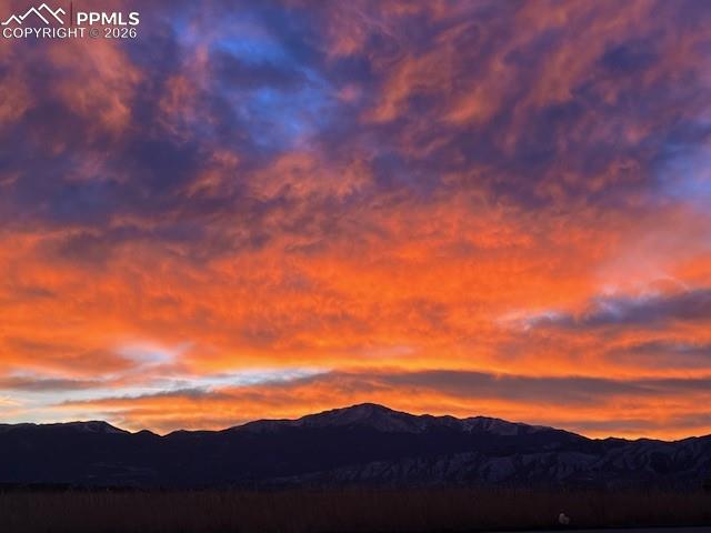 MLS Image for 3978  Pronghorn Meadows  ,Colorado Springs, Colorado