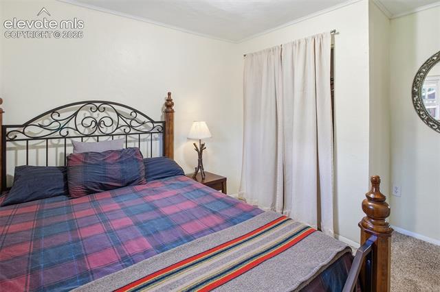MLS Image for 111 N Pine  ,Woodland Park, Colorado