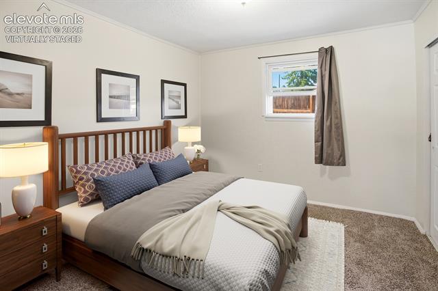 MLS Image for 111 N Pine  ,Woodland Park, Colorado