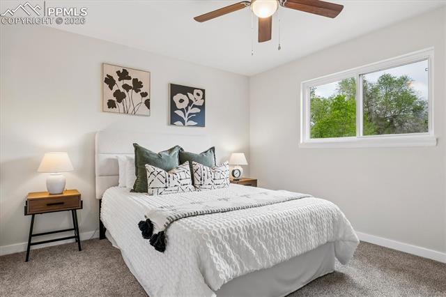 MLS Image for 4216  Shelley  ,Colorado Springs, Colorado