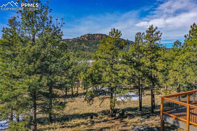 MLS Image for 234  Hackamore  ,Florissant, Colorado