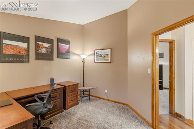 MLS Image for 5167  Bitterweed  ,Colorado Springs, Colorado