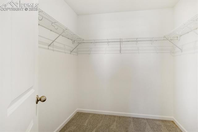 MLS Image for 2513  Milano  ,Pueblo, Colorado