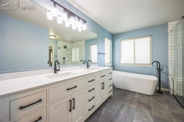 MLS Image for 2462  Baystone  ,Colorado Springs, Colorado