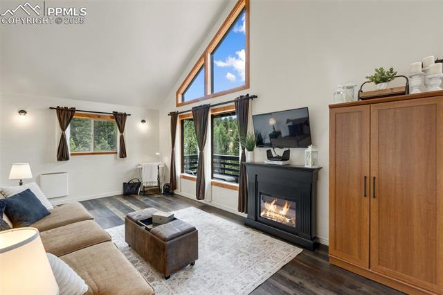 MLS Image for 104  Mt Elbert  ,Florissant, Colorado