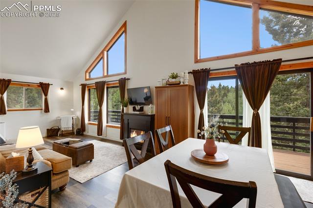 MLS Image for 104  Mt Elbert  ,Florissant, Colorado