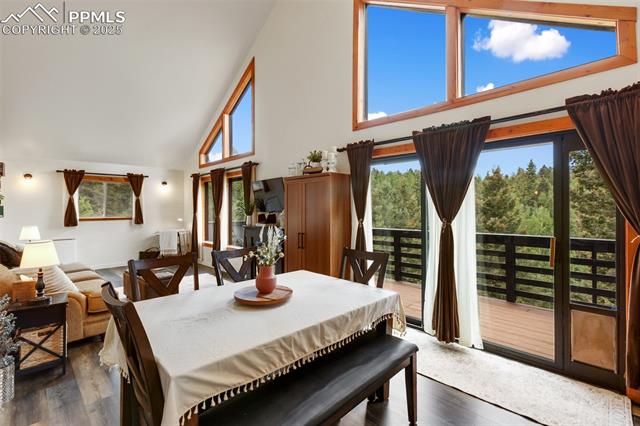 MLS Image for 104  Mt Elbert  ,Florissant, Colorado