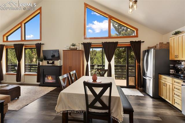 MLS Image for 104  Mt Elbert  ,Florissant, Colorado