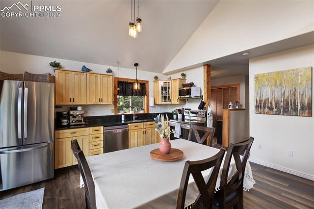 MLS Image for 104  Mt Elbert  ,Florissant, Colorado
