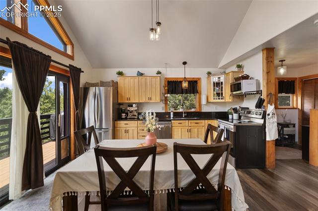 MLS Image for 104  Mt Elbert  ,Florissant, Colorado