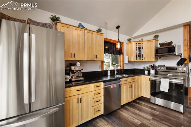 MLS Image for 104  Mt Elbert  ,Florissant, Colorado